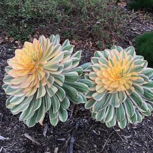 Meet your Posher, May